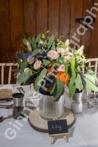 GinnysPhotography-HallFarmWedding11