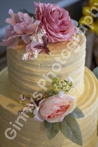 GinnysPhotography-HonestLawyer2