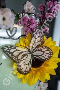 GinnysPhotography-HonestLawyer3