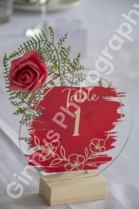 GinnysPhotography-WeddingEmmaStuart237
