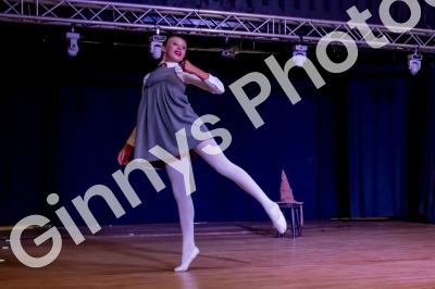 GinnysPhotography-DanceFestivalEvening283