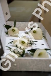 GinnysPhotography-MillfieldsHotelWedding7