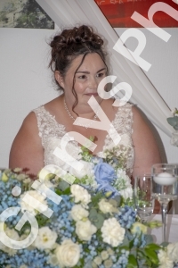 GinnysPhotography-HumberRoyalWedding244